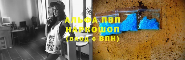 гашик Алексеевка