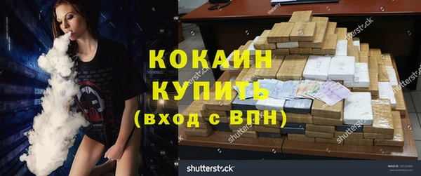 гашик Алексеевка