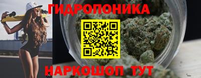 дмт Новодвинск